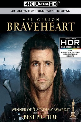 4K 50 勇敢的心 1995 豆瓣8.8 带国配 杜比视界 BRAVEHEART （1995） 