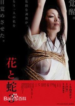 花与蛇3 （2010）豆瓣5.1 
