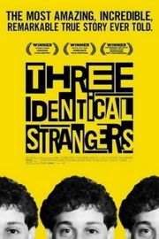 孪生陌生人 Three Identical Strangers (2018) 豆瓣7.9Three Identical Strangers (2018)豆瓣评分：7.9 · 