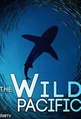 狂野太平洋 THE WILD PACIFIC (2016) THE WILD PACIFIC (2016)豆瓣评分：· · 