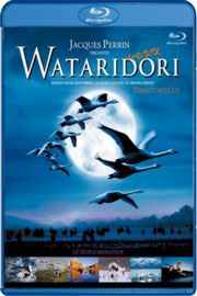 鸟的迁徙 WINGED MIGRATION 2002年奥斯卡最佳记录片提名 