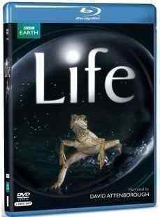 BBC纪录片：生命 4碟装 BBC LIFE 1080I 