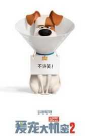 BD50 爱宠大机密2（2019）50G 