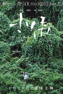 小伟 2019 豆瓣评分7.9分国产家庭剧情佳作，获多个国际影展褒奖 