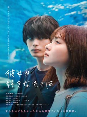 BD50 她喜欢的是（2021）豆瓣7.4 