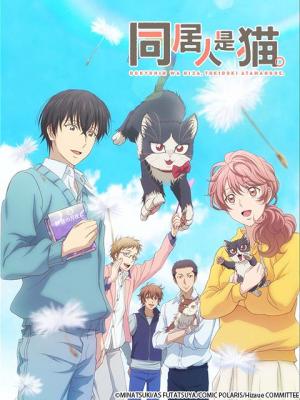 同居人是猫 第一季 6碟 MY ROOMMATE IS A CAT (2019) 豆瓣8.3 