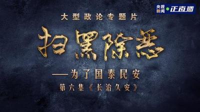 扫黑除恶——为了国泰民安 2碟装 2021 
