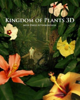 BBC:植物王国 + 植物私生活 + 种出个地球 3碟装 
