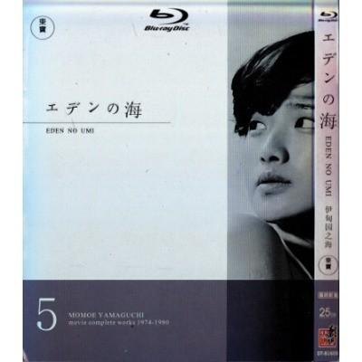 伊甸园之海 少女时代的山口百惠很迷人 