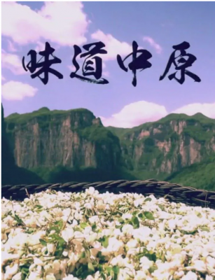 味道中原 2碟装 