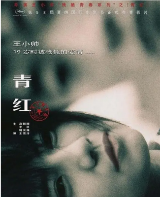 青红 2005 中国第六代导演的领军人物《天长地久》王小帅 自编自导剧情佳作 高圆圆领衔主演，提名戛纳影展金棕榈奖并荣获评审团大奖 