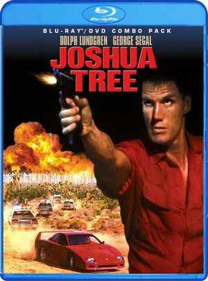 支手轰天/阴谋 JOSHUA TREE (1993) 豆瓣7.1 