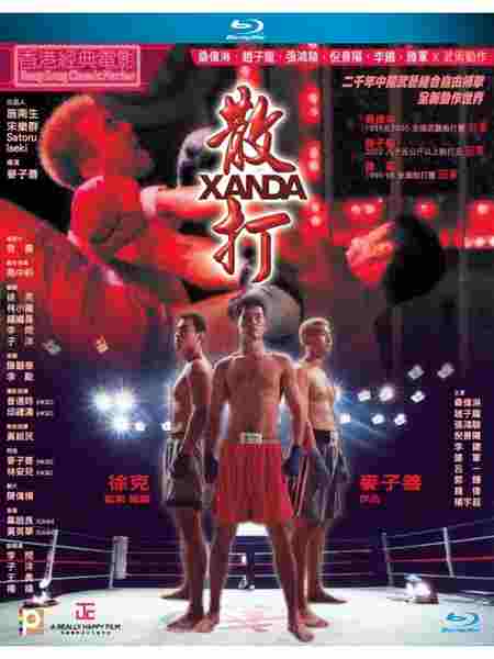 散打 (2004) 港产片 豆瓣6.3 