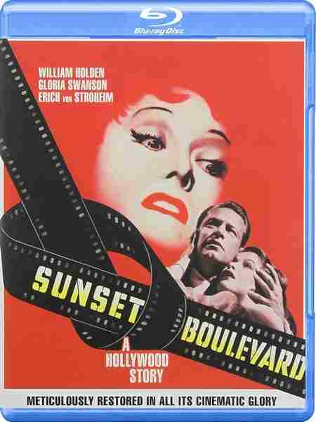 日落大道/红楼金粉 豆瓣8.7 SUNSET BLVD. (1950) 奥斯卡和影迷极度推崇经典代表-  