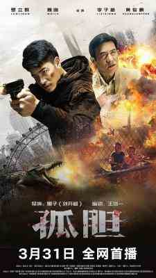 孤胆 2024影片《孤胆拯救》是一部动作枪战题材为主的电影 