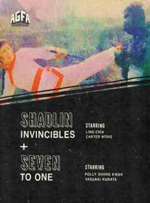 雍正命丧少林门 (1977)+女英雄飞车夺宝 (1973) 豆瓣5.5 