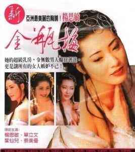 新金瓶梅 (1996) 3碟 杨思敏版 宽屏修复高清版 豆瓣7.9 