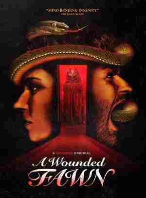 BD50-2D 受伤的小鹿 A WOUNDED FAWN (2022) 豆瓣5.3 