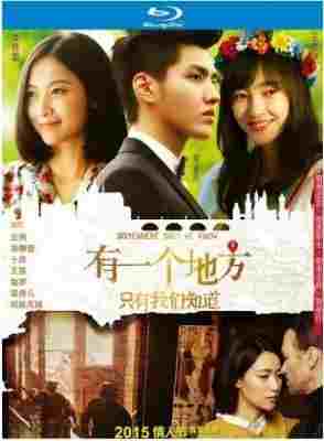 有一个地方只有我们知道 SOMEWHERE ONLY WE KNOW (2015)  