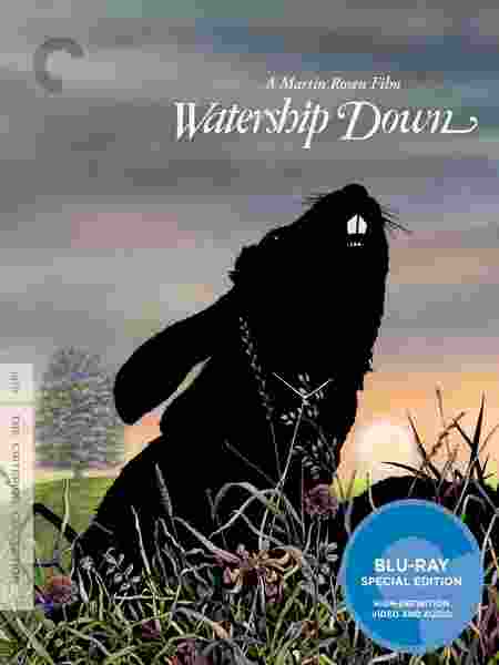 BD50-2D 沃特希普高地/海底沉舟 WATERSHIP DOWN (1978) CC标注版 豆瓣8.1 