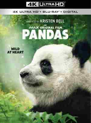 4K UHD 大熊猫/熊猫们 PANDAS (2018) 豆瓣7.8 