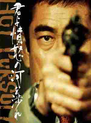 4K UHD 追捕/越过愤怒的河 (1976) 日本 杜比视界 豆瓣8.3 