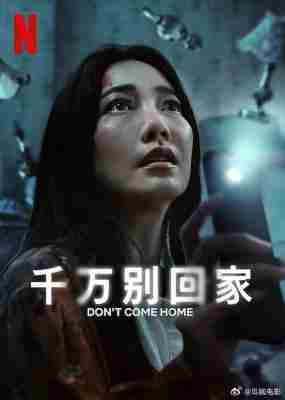 千万别回家 2碟装 2024 