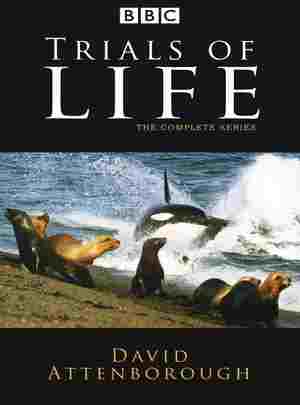 BD50-2D 生命之源/生命的起源 THE TRIALS OF LIFE (1990) 4碟 豆瓣9.0 