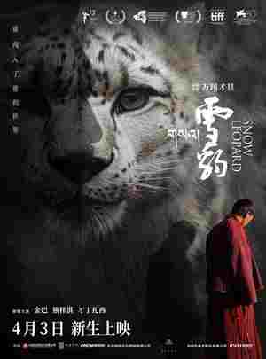 BD50-2D 雪豹 (2023) 豆瓣7.4  
