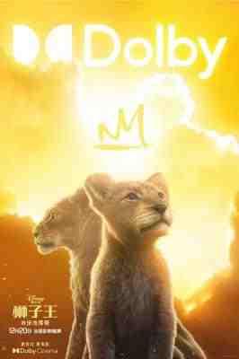 狮子王：木法沙传奇 Mufasa: The Lion King (2024) 正式版 带国粤语 豆瓣6.6 