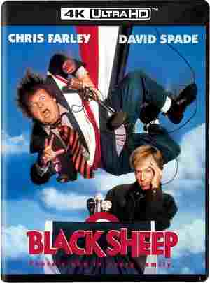 4K UHD 黑羊/冒牌大间谍 Black Sheep (1996) 杜比视界 豆瓣5.7 