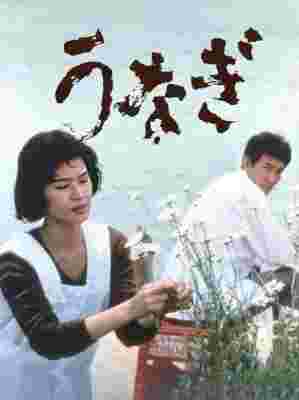 BD50-2D 鳗鱼 (1997) 日本 加长版 豆瓣7.9  