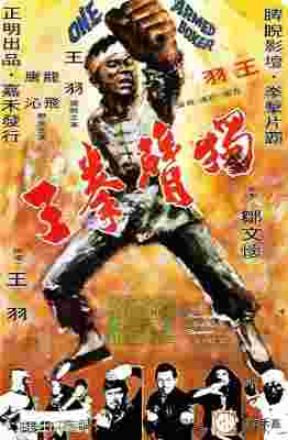 独臂拳王 (1972) 港产片 豆瓣6.2 