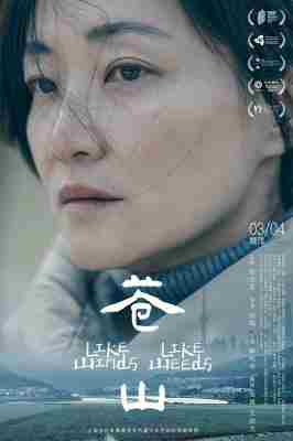 苍山 (2023) 高清版 豆瓣6.8 