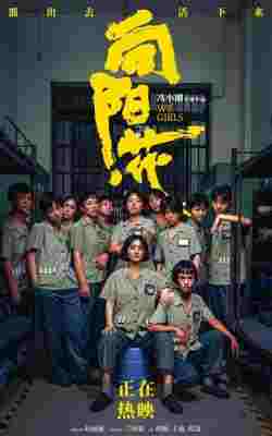 向阳·花/出狱女子的故事/向阳花‎ (2025) 高清版 豆瓣6.4 