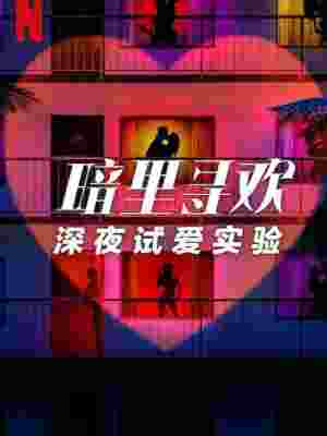 暗里寻欢：深夜试爱实验 2碟装 2025年美国最新上映真人秀 