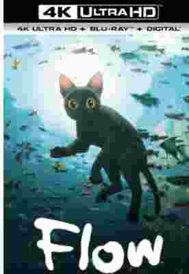 4K UHD 猫猫的奇幻漂流 Straume (2024) 豆瓣8.4 
