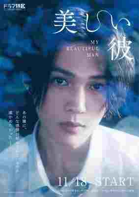 美丽的他 (2021) 日本 2碟 豆瓣8.8 