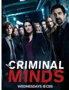犯罪心理 第十三季 Criminal Minds Season 13‎ (2017) 3碟 高清版 豆瓣8.6  