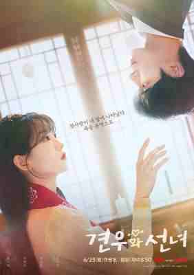 牵牛和仙女 3碟装 2025韩国2025年赵怡贤、秋泳愚主演的爱情奇幻剧 